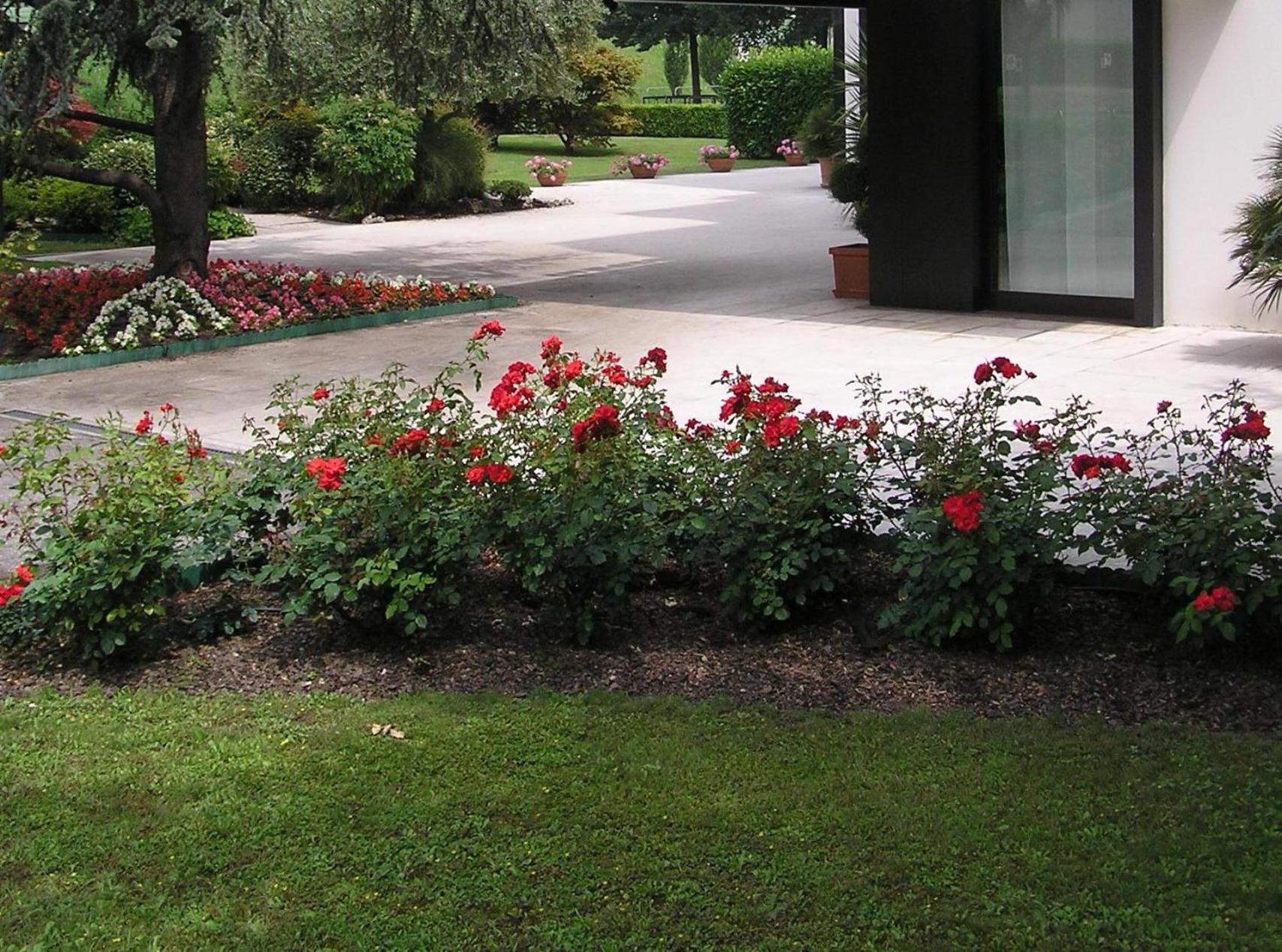 Hotel Giovanni Padova Esterno foto